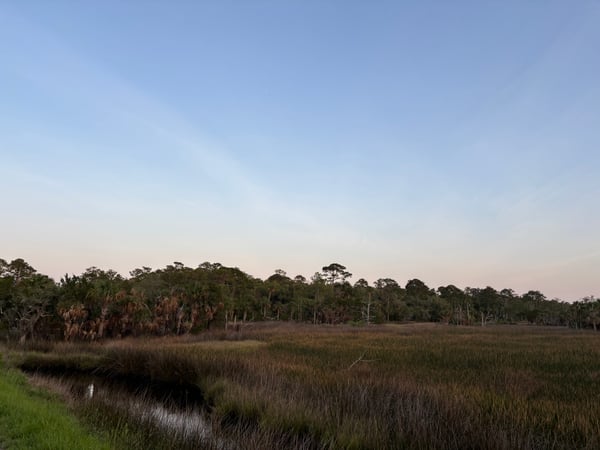 Dusk at Guana River Wildlife Management Area in NE Florida