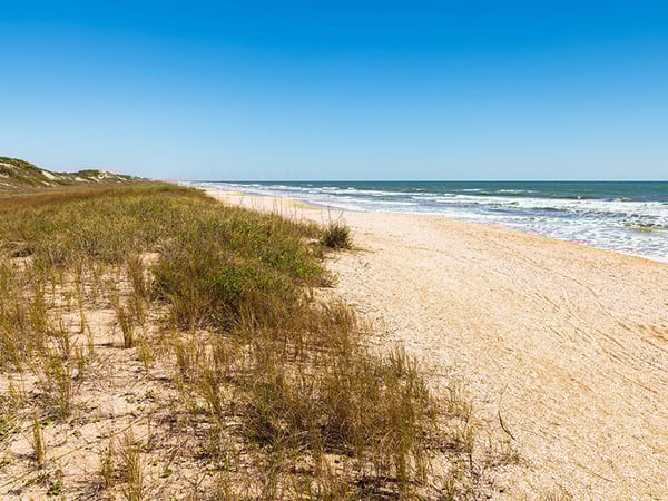 Florida dune and beach