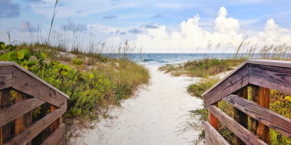 Beach walkway