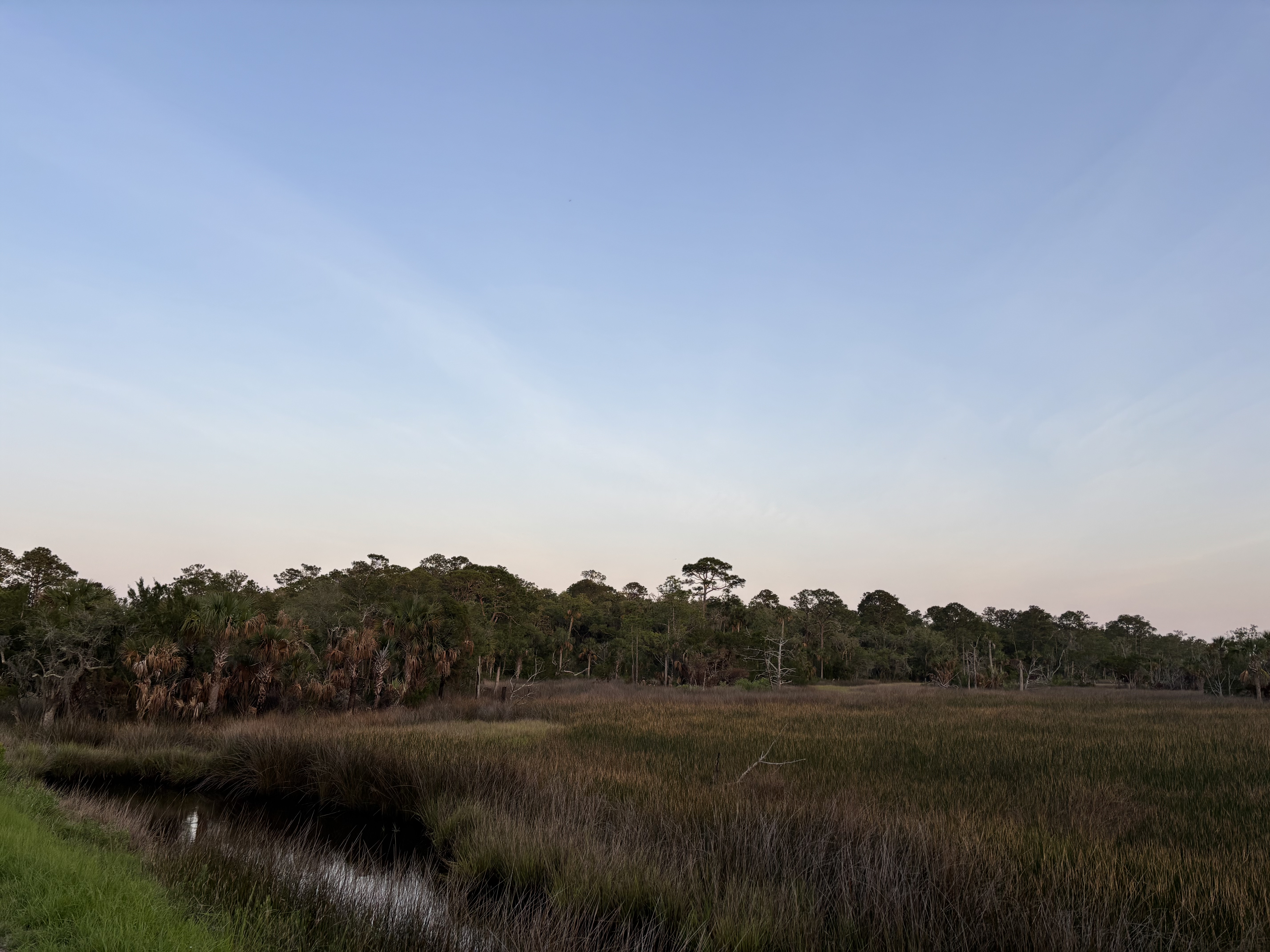 Dusk at Guana River Wildlife Management Area in NE Florida
