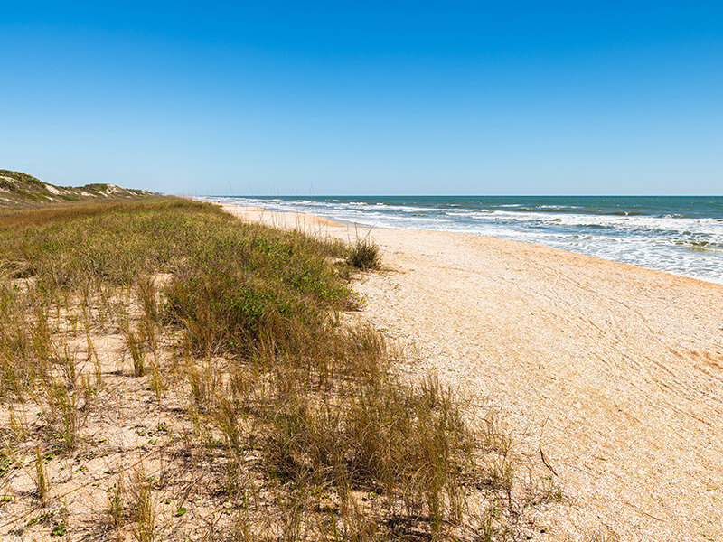 Florida dune and beach